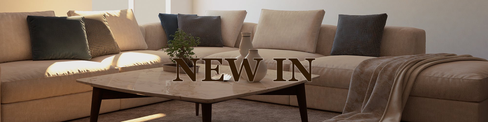 New Arrivals - TAITIY