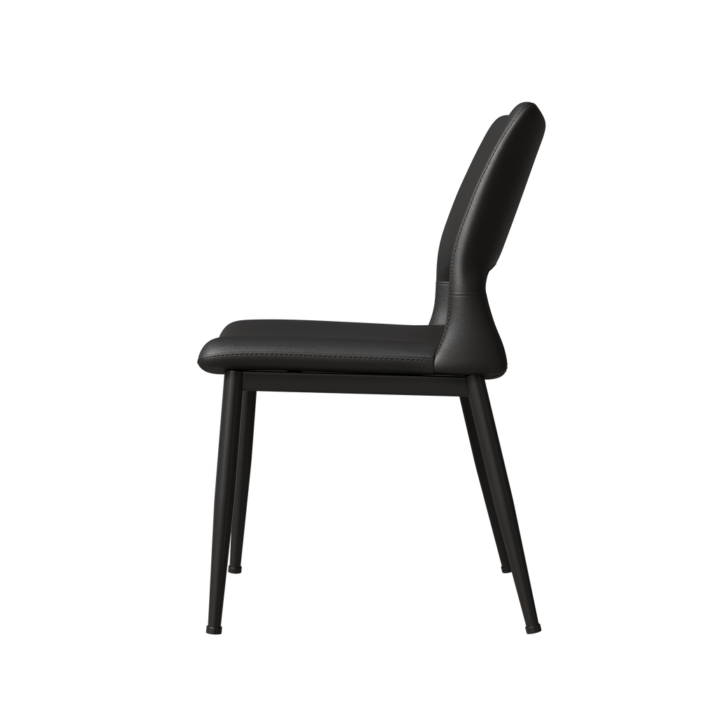 Dining Chair Set of 2 - TAITIY