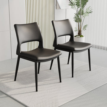Dining Chair Set of 2 - TAITIY