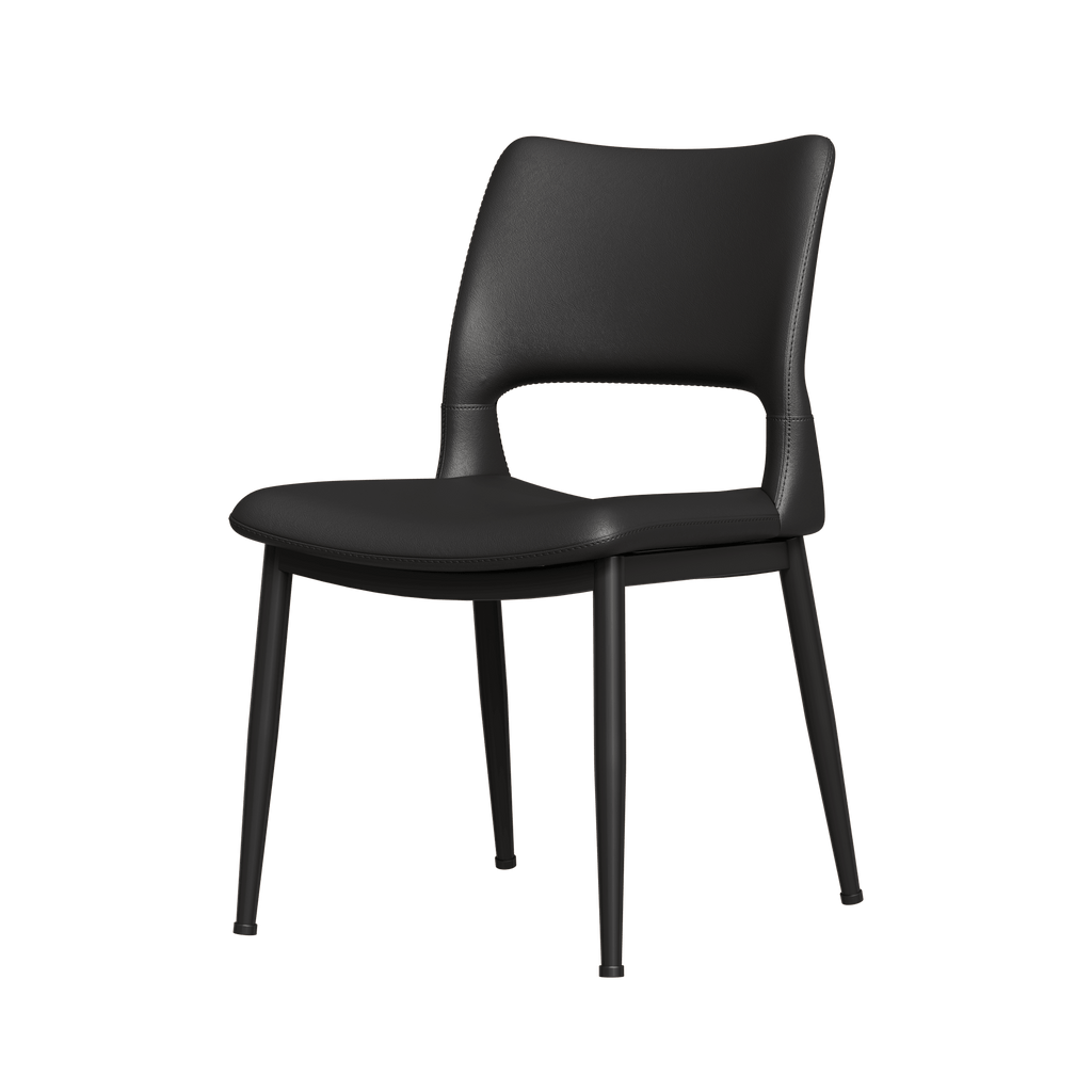 Dining Chair Set of 2 - TAITIY