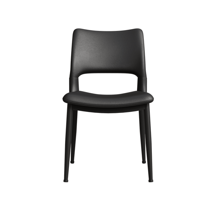 Dining Chair Set of 2 - TAITIY