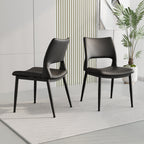 Dining Chair Set of 2 - TAITIY